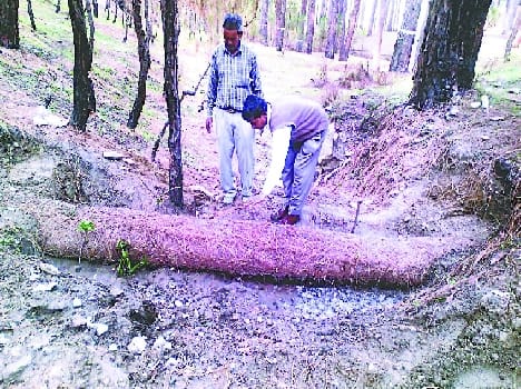 Gniadyoli made in the range of 37 dams